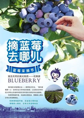 房地产蓝莓水果采摘活动海报
