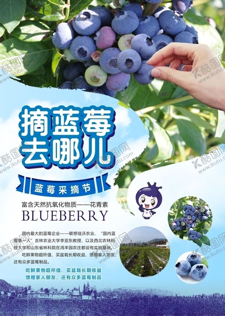 编号：90603807080750407610【酷图网】源文件下载-蓝莓水果采摘海报广告