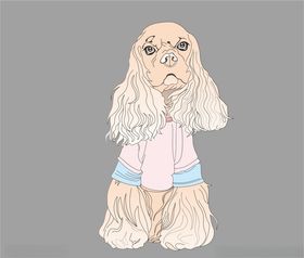 宠物狗
