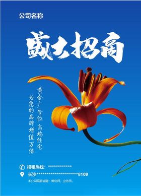 盛大开业招商花粉色蓝色