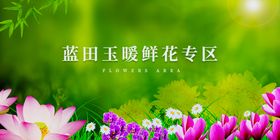 简约banner