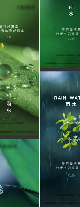 雨水节气系列海报