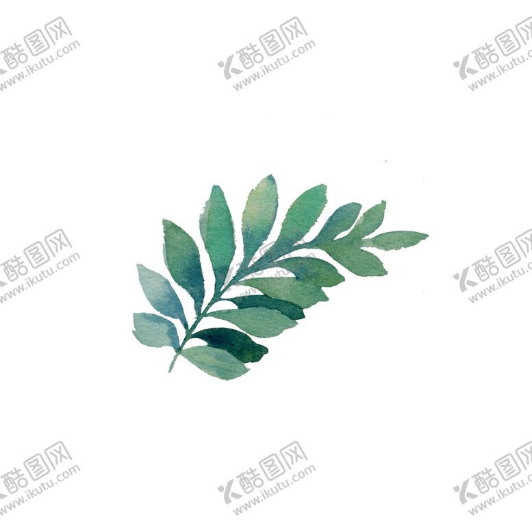 编号：81910812072208041764【酷图网】源文件下载-素材树叶插图