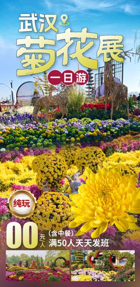 武汉菊花展一日游
