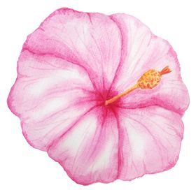 彩绘水彩花