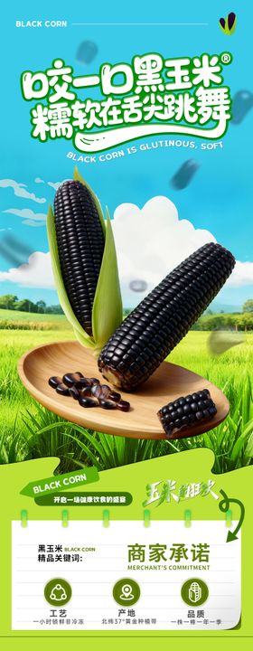 黑糯玉米详情页