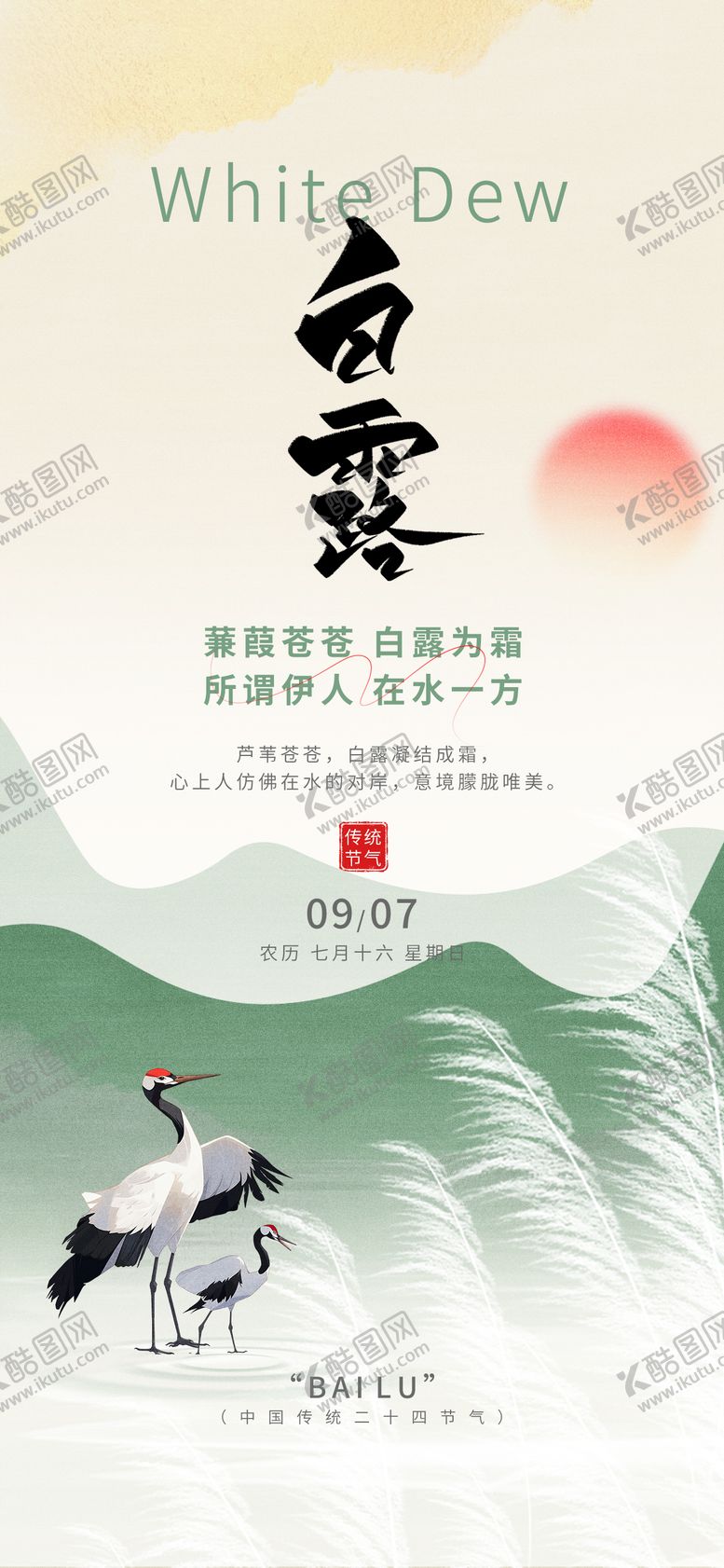 编号：22281010010401294948【酷图网】源文件下载-白露24节气绿色白鹭芦苇秋天海报