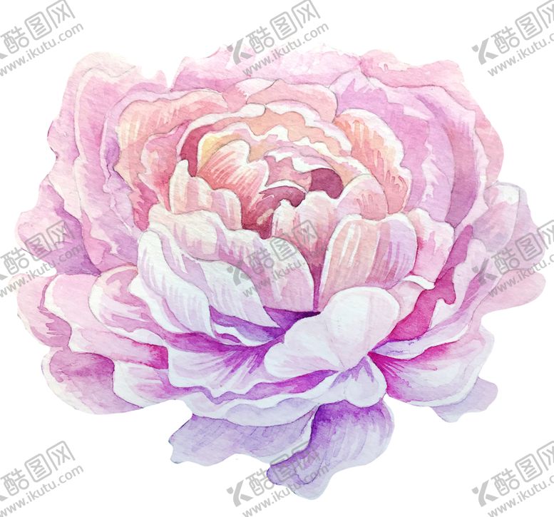 编号：26760706280025139163【酷图网】源文件下载-水彩植物