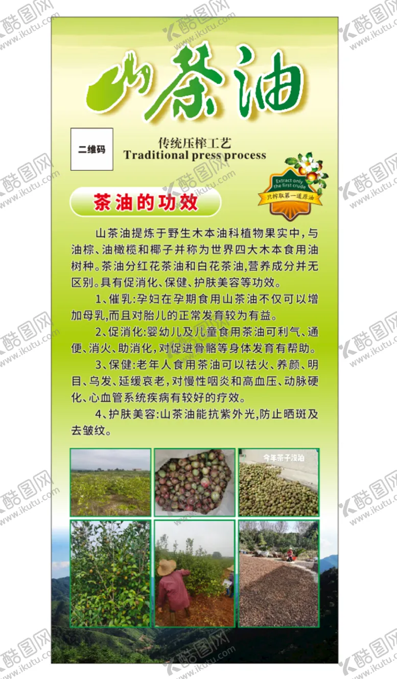 编号：26934010111525511269【酷图网】源文件下载-山茶油