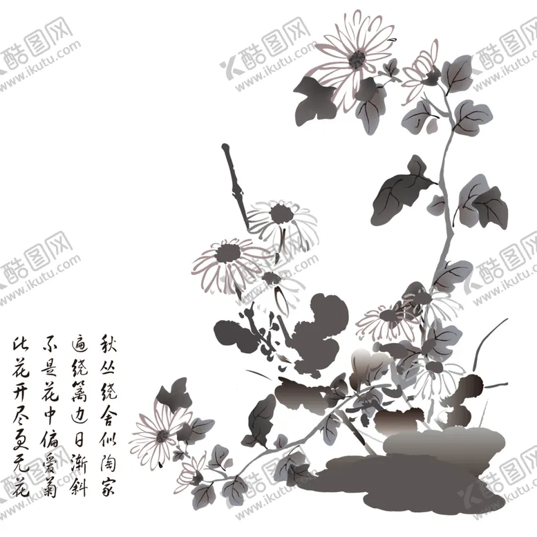 编号：32829304301939455751【酷图网】源文件下载-水墨菊花