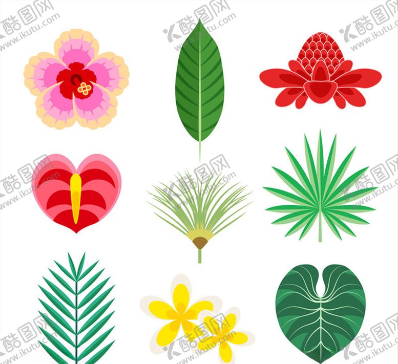 编号：28974607070832272708【酷图网】源文件下载-彩色热带花卉和叶子矢量素材