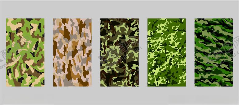 编号：69172504011333015393【酷图网】源文件下载-多样蔬菜纹理特写