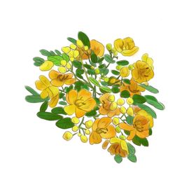 中国古风传统花鸟图案