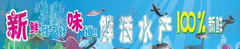 编号：65059505102123497882【酷图网】源文件下载-海洋馆展板