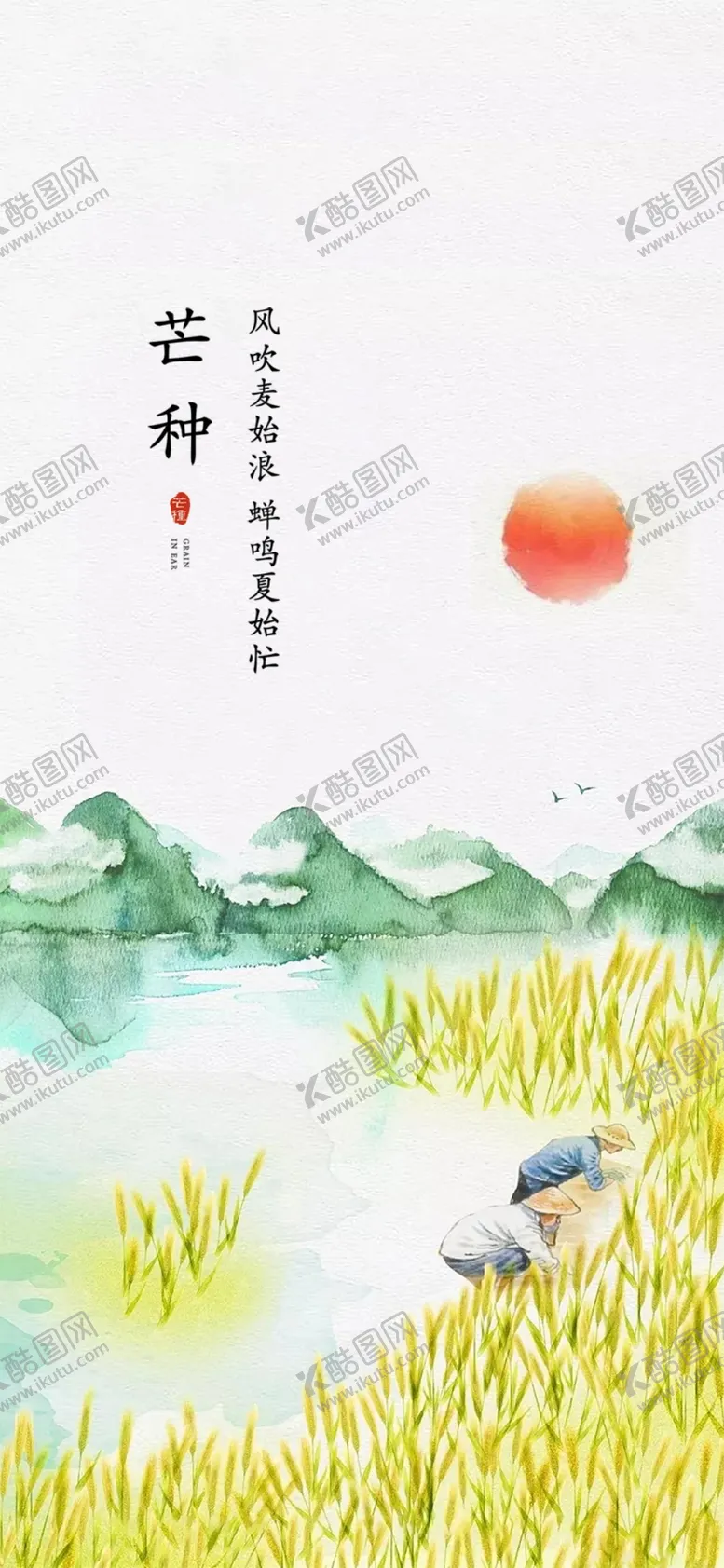 编号：60648702040100454549【酷图网】源文件下载-芒种节气宣传海报展板