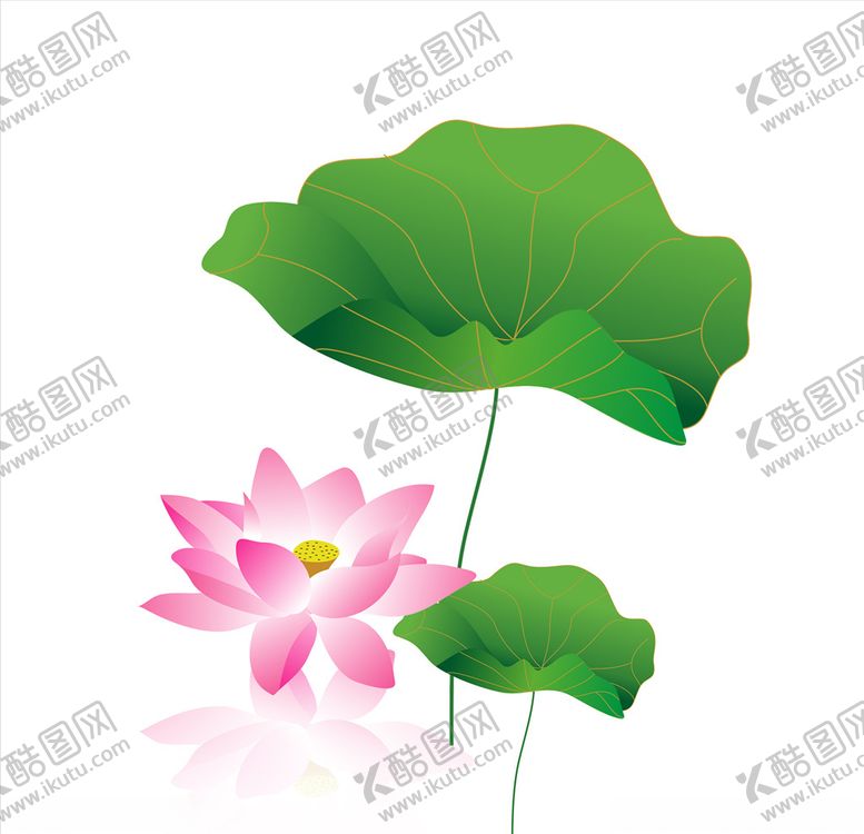 编号：56027810180230249411【酷图网】源文件下载-荷叶