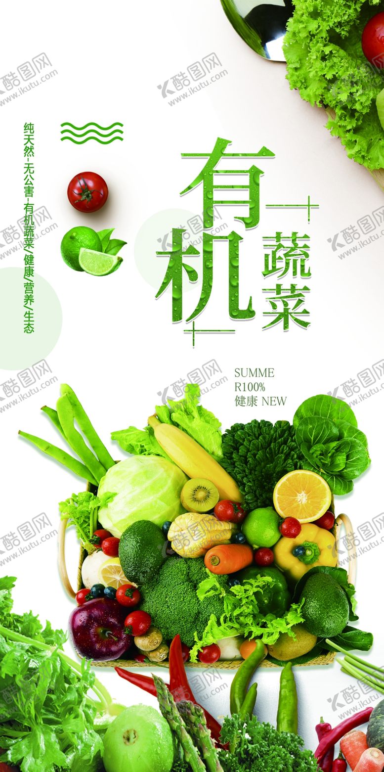 编号：32151502221905381734【酷图网】源文件下载-蔬菜海报