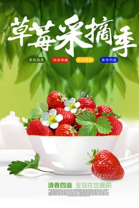 草莓采摘季高清水果海报设计模板