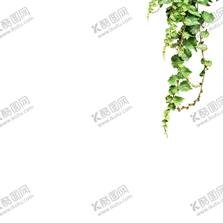 编号：37426107091617178138【酷图网】源文件下载-绿色装饰