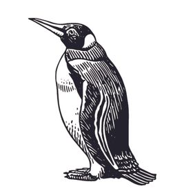 爬行动物线稿绘画图案