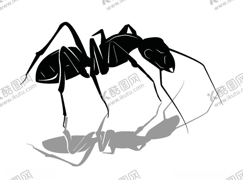 编号：99484709271210526164【酷图网】源文件下载-蚂蚁剪影矢量素材