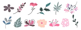 卡通花植物学打印叶子绘画