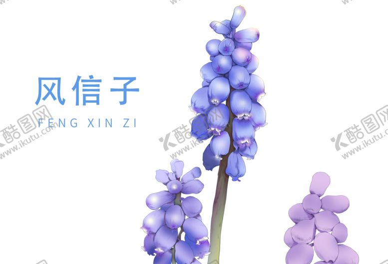 编号：82884903150601088792【酷图网】源文件下载-风信子手绘插画