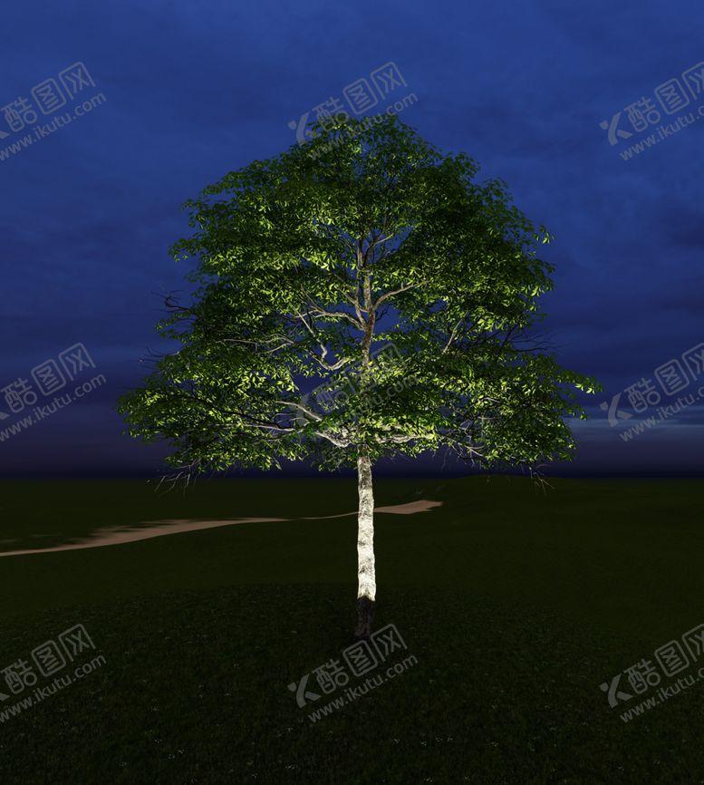编号：53774507121936196930【酷图网】源文件下载-灯光树夜景树素材灯光树素材