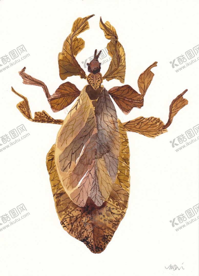 编号：38725809122339422330【酷图网】源文件下载-枯叶虫