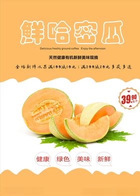 哈密瓜海报