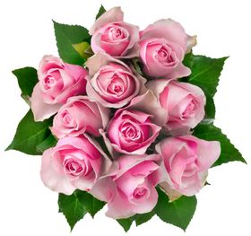 一束鲜花