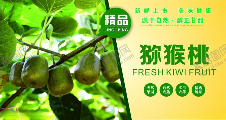 编号：29349102091600382987【酷图网】源文件下载-猕猴桃