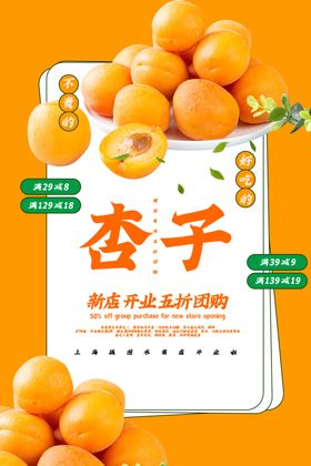 杏子海报
