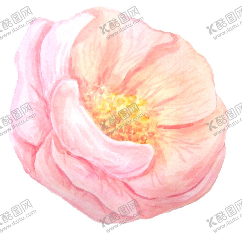 编号：53182207122322315802【酷图网】源文件下载-彩绘植物