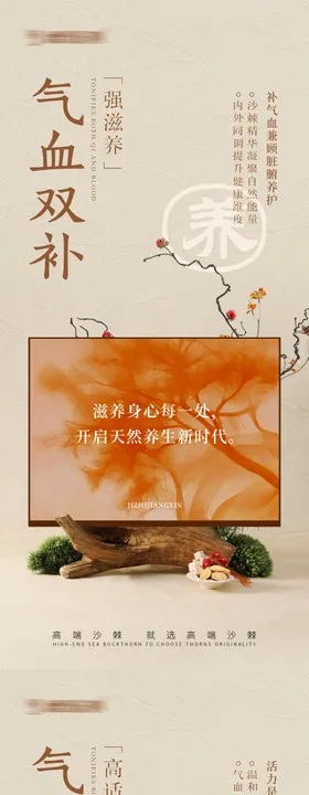 气血双补宣传图