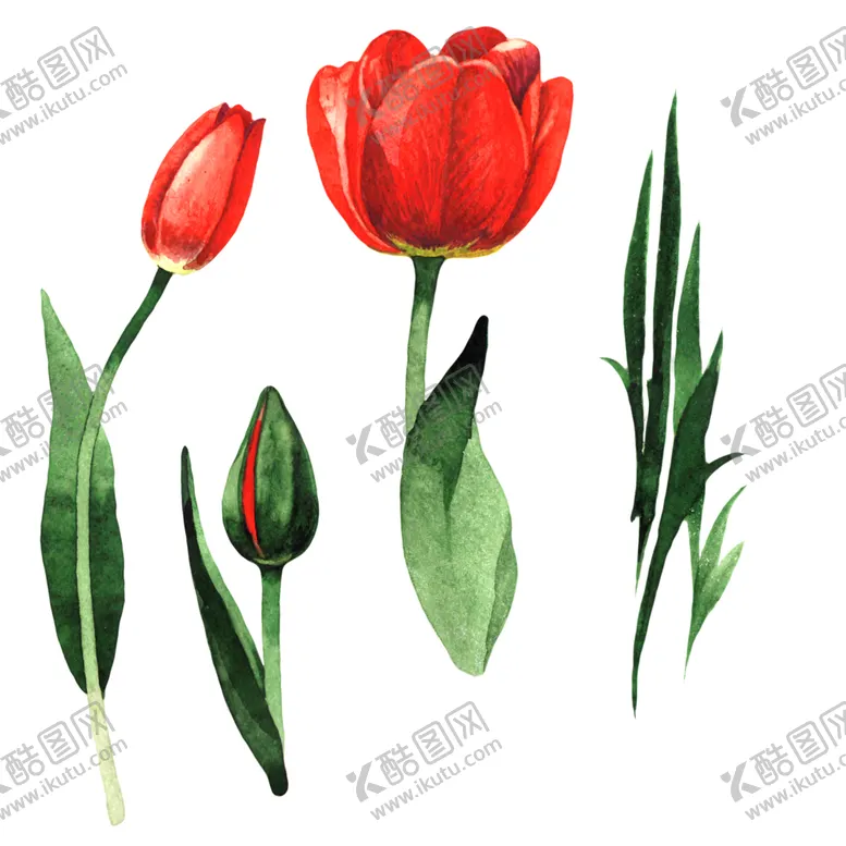编号：41600701192150367928【酷图网】源文件下载-花卉背景 