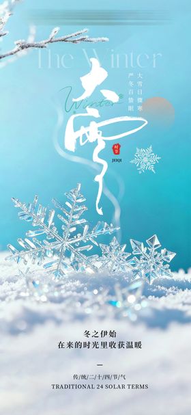 大雪24节气简约海报