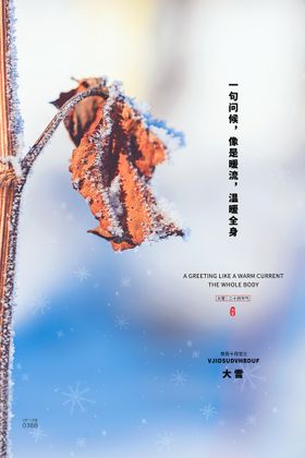 编号：78150609291035483680【酷图网】源文件下载-大雪海报