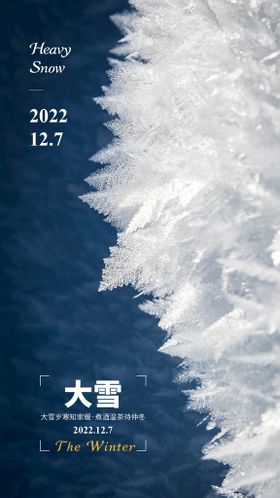 编号：58694710092205133148【酷图网】源文件下载-二十四节气大雪小雪海报