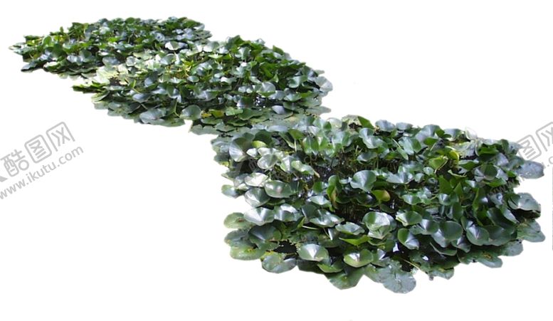 编号：91540510271749102565【酷图网】源文件下载-荷花