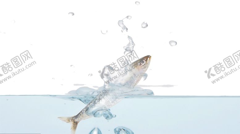 编号：49449509271752163106【酷图网】源文件下载-水花免扣