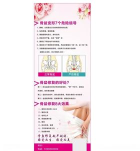 骨盆海报