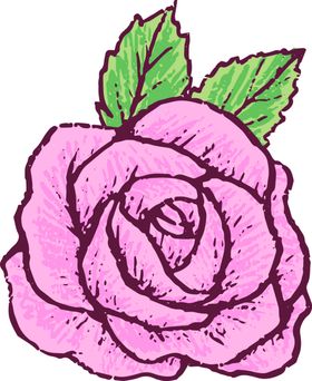 鲜花素材