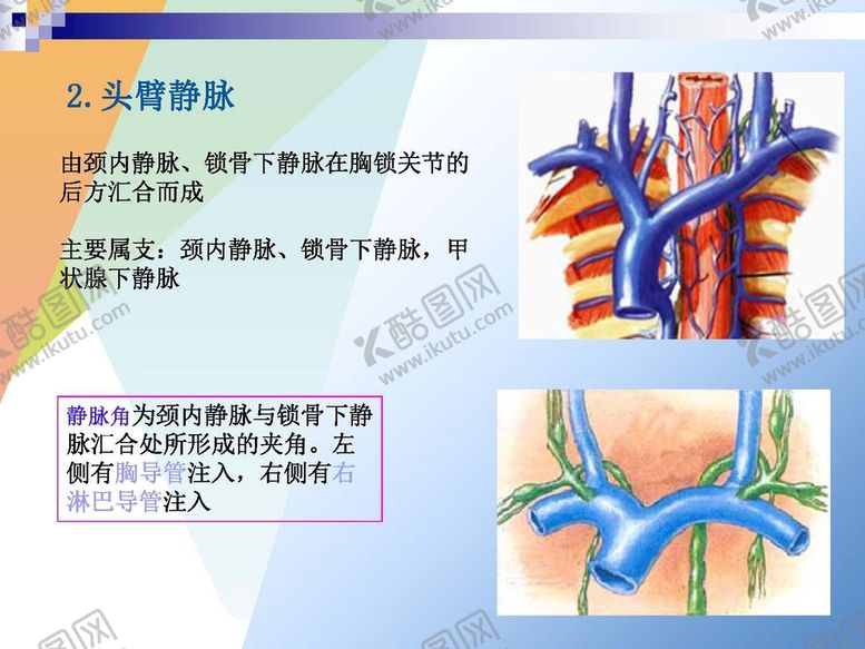 编号：91021001131614504313【酷图网】源文件下载-静脉 