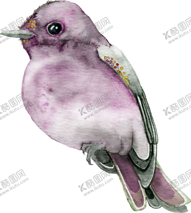 编号：61469409290500048351【酷图网】源文件下载-小鸟