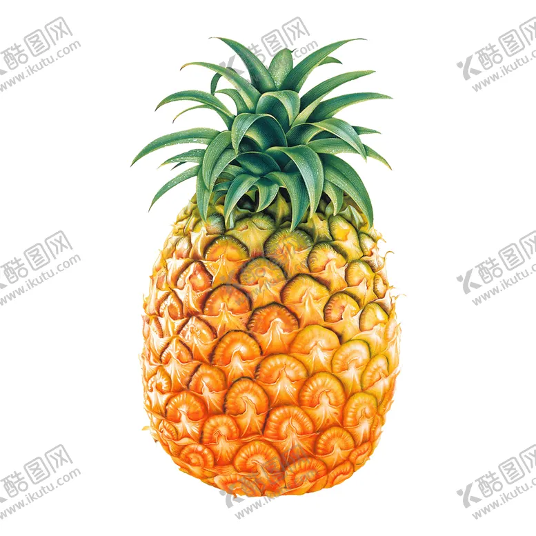 编号：46217911210003471346【酷图网】源文件下载-菠萝