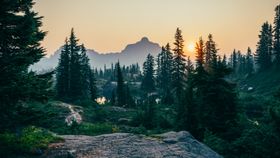群山森林夕阳树木风景