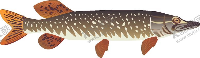 编号：42503709161527005918【酷图网】源文件下载-卡通鱼