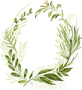 手绘植物叶子