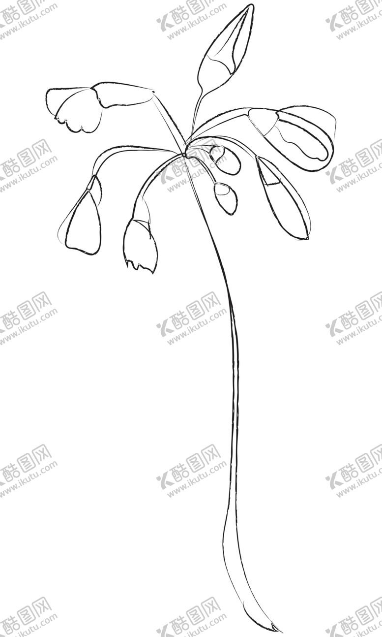 编号：46876709231127211793【酷图网】源文件下载-手绘植物花卉